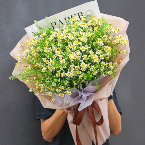  Mẫu hoa mới - Perfection 3 - 28004 