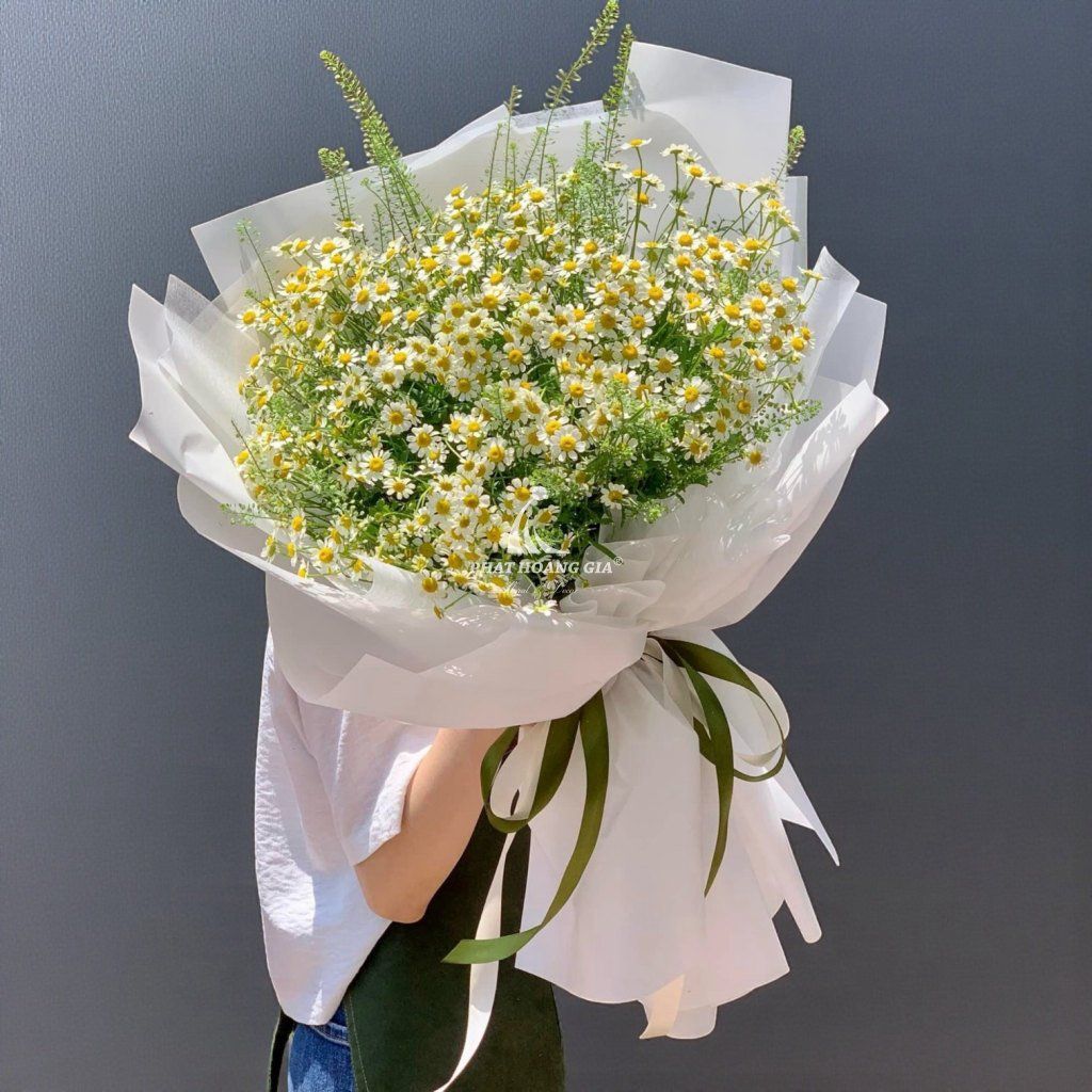 Hoa Cúc Tana - Loving You 2 - 26501