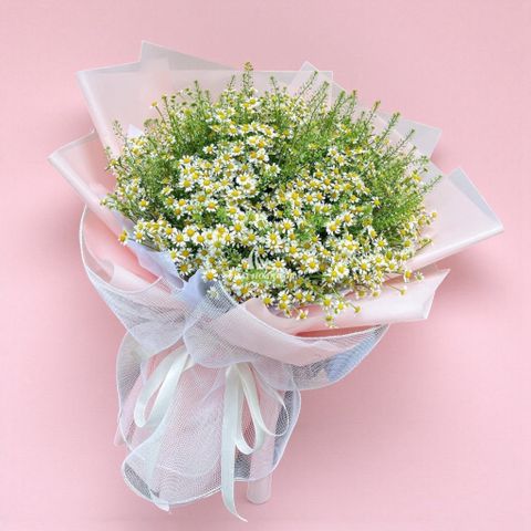  Ngày Quốc tế Phụ nữ (8/3) - Little Tana 2 - 28386 
