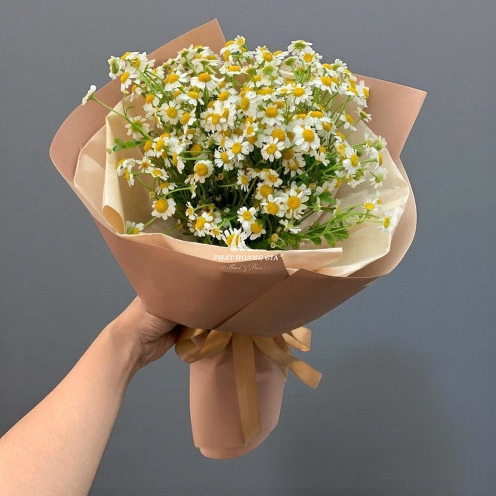 Hoa Cúc Tana - Hương Hè 6 - 28688