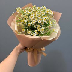 productPrev