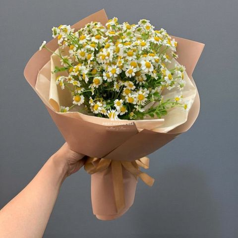  Ngày Quốc tế Phụ nữ (8/3) - Hương Hè 6 - 28692 
