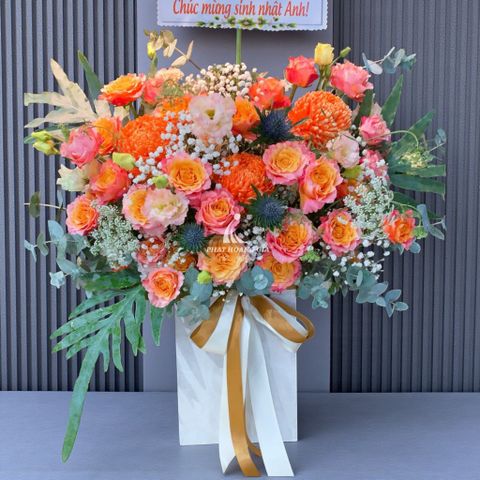  Hoa chúc mừng - Con Đường Rực Rỡ 6 - 29771 