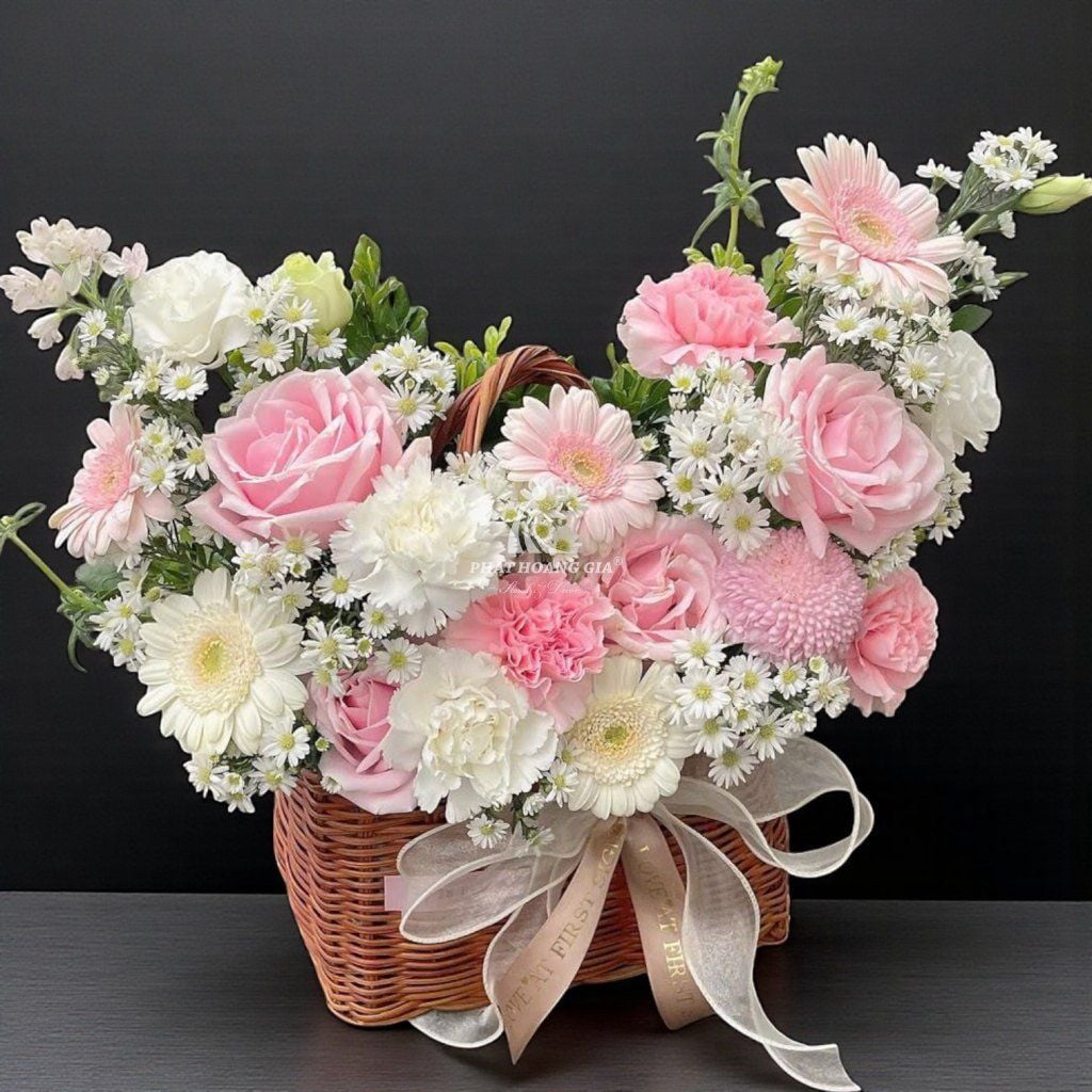 Hoa Đồng Tiền - Ngây Thơ 1 - 12654