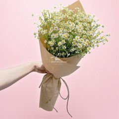 productPrev