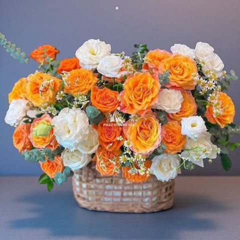  Hoa tặng Khách hàng - Whispers Of The Heart 2 - 31275 