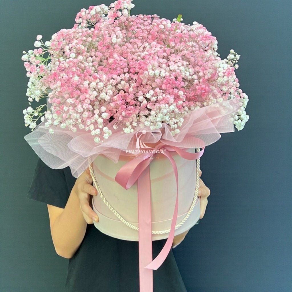 Hoa Baby - Lan Tỏa Ước Mơ 4 - 31131