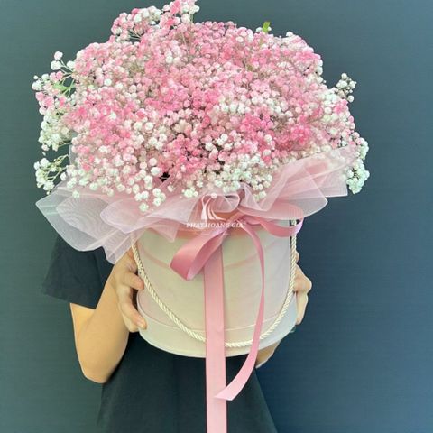  Hoa tặng Khách hàng - Lan Tỏa Ước Mơ 4 - 31136 