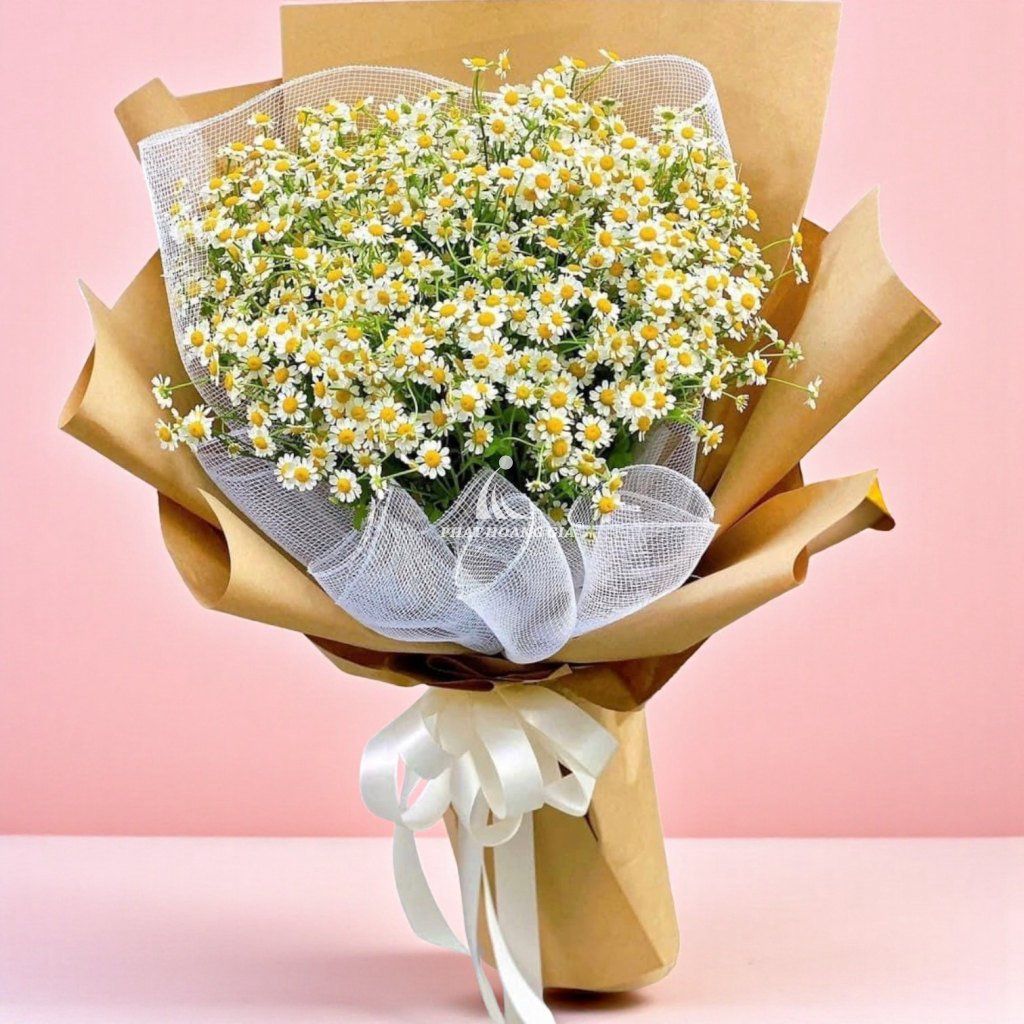 Hoa Cúc Tana - Hy Vọng 5 - 29074