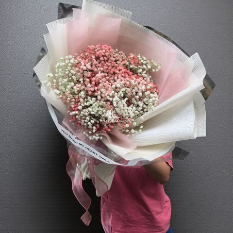  Hoa chúc sức khỏe - Thanh Xuân 6 - 31693 