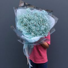 productNext