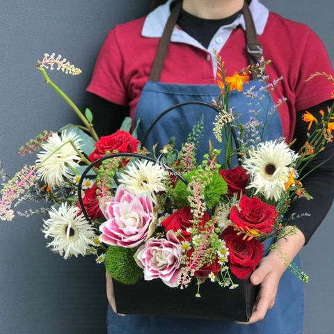  Ngày Quốc tế Phụ nữ (8/3) - Thanh Cao 4 - 31773 