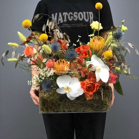  Ngày Quốc tế Phụ nữ (8/3) - Roots To Wings 4 - 31844 