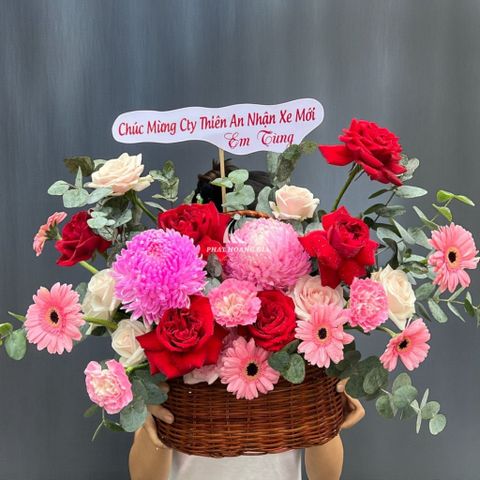  Phụ nữ Việt Nam (20/10) - Hạt Nắng 11 - 32497 