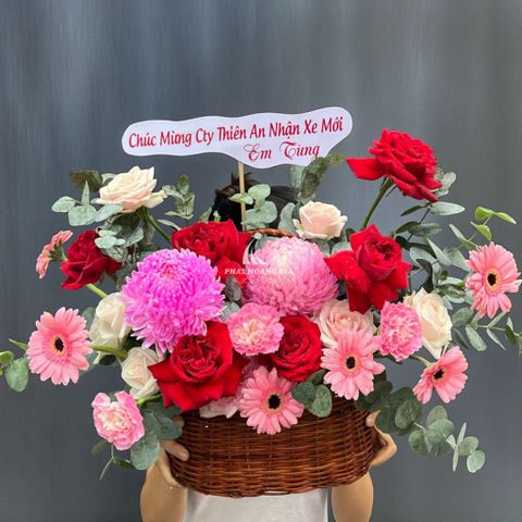  Ngày của Cha - Hạt Nắng 11 - 32496 