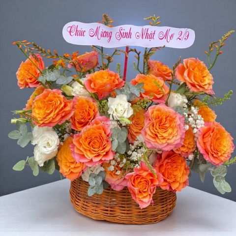  Ngày của Cha - Bản Giao Hưởng Sắc Màu 4 - 32535 