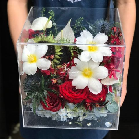  Ngày Valentine (14/2) - Thân Thương 9 - 33260 