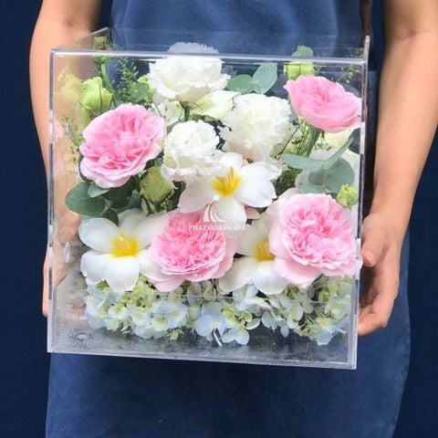  Nhà giáo Việt Nam (20/11) - Trân Qúy 10 - 33285 