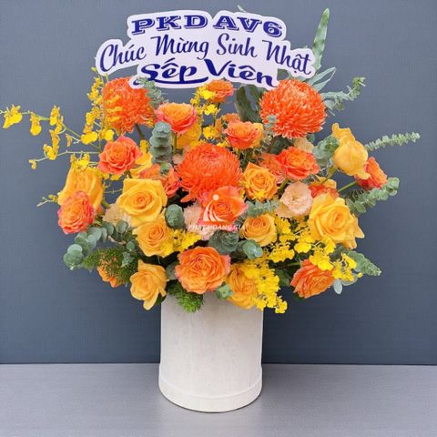  Ngày Quốc tế Phụ nữ (8/3) - Blended 5 - 33552 