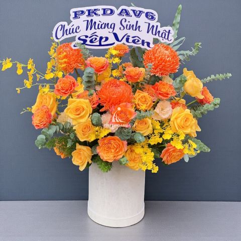  Ngày Quốc tế Phụ nữ (8/3) - Blended 5 - 33552 