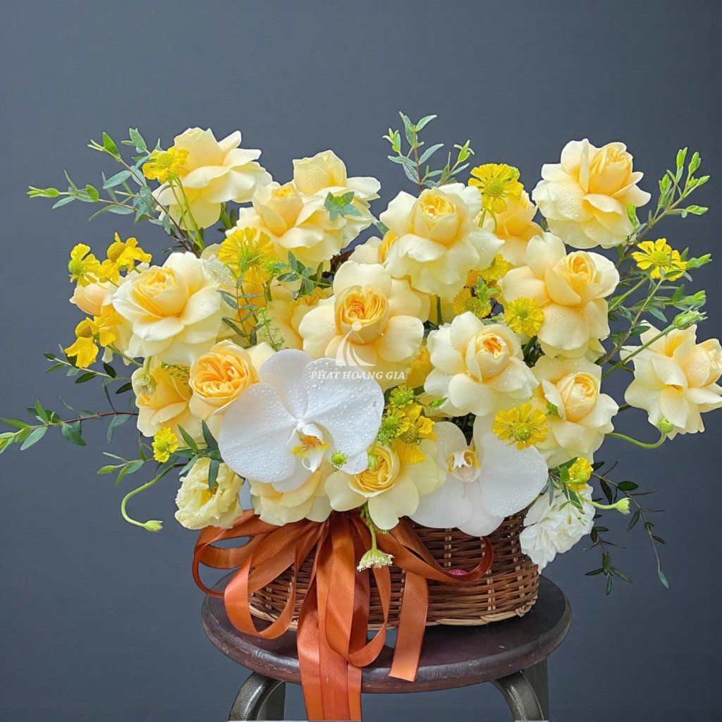 Hoa Lan Hồ Điệp - Golden Hour - 13062