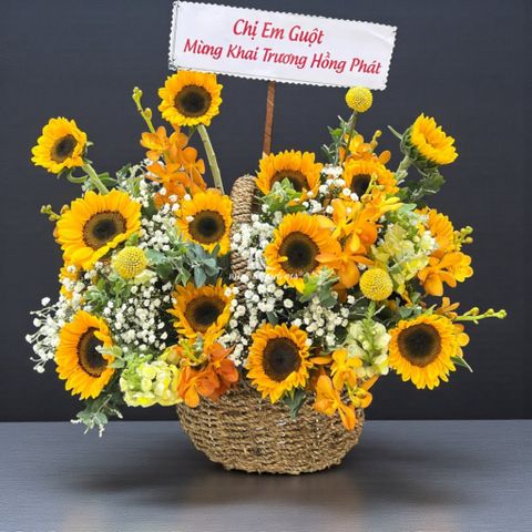  Hoa khai trương - Màu Nắng Ấm 11 - 34490 