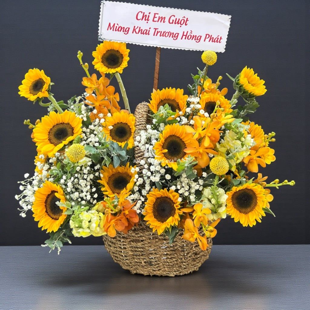 Hoa Hướng Dương - Màu Nắng Ấm 11 - 34474