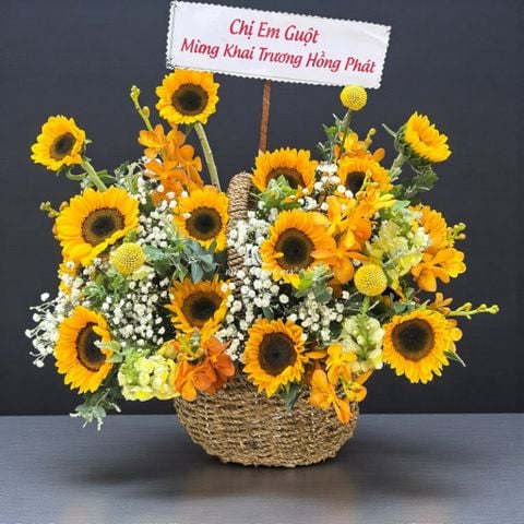  Ngày Quốc tế Phụ nữ (8/3) - Màu Nắng Ấm 11 - 34483 