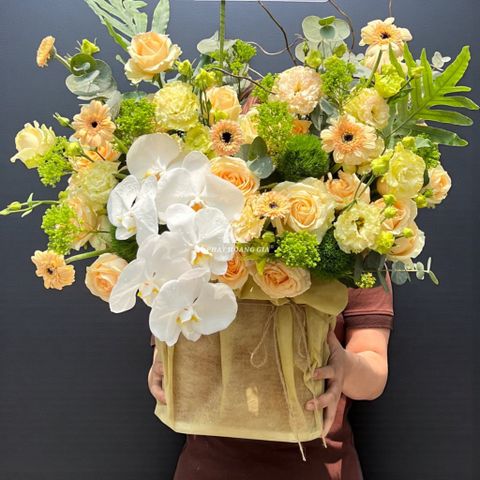  Ngày của Mẹ - Vẹn Toàn 8 - 35006 