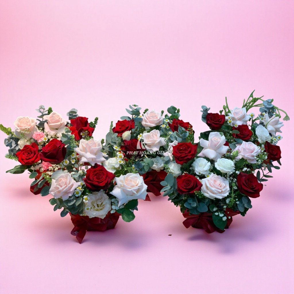 Hoa bàn Garelly - Cheerful 1 - 13175