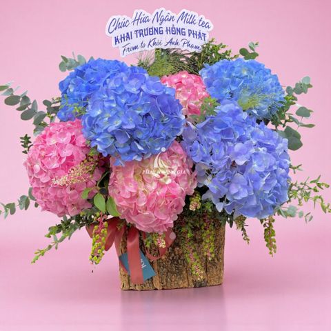  Ngày Valentine (14/2) - Ngày Đặc Biệt 6 - 35763 