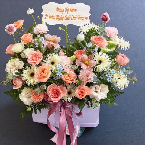  Ngày Valentine (14/2) - Màu Nắng Ấm 14 - 36107 