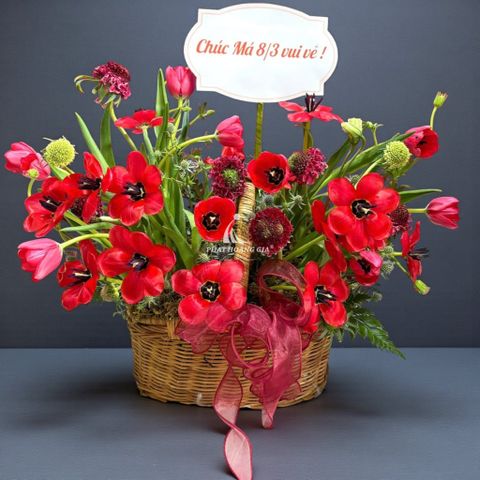  Ngày Valentine (14/2) - Lời Yêu Thương 13 - 36215 