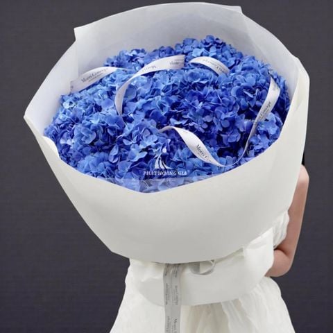  Ngày của Mẹ - Hy Vọng Mới 5 - 36421 