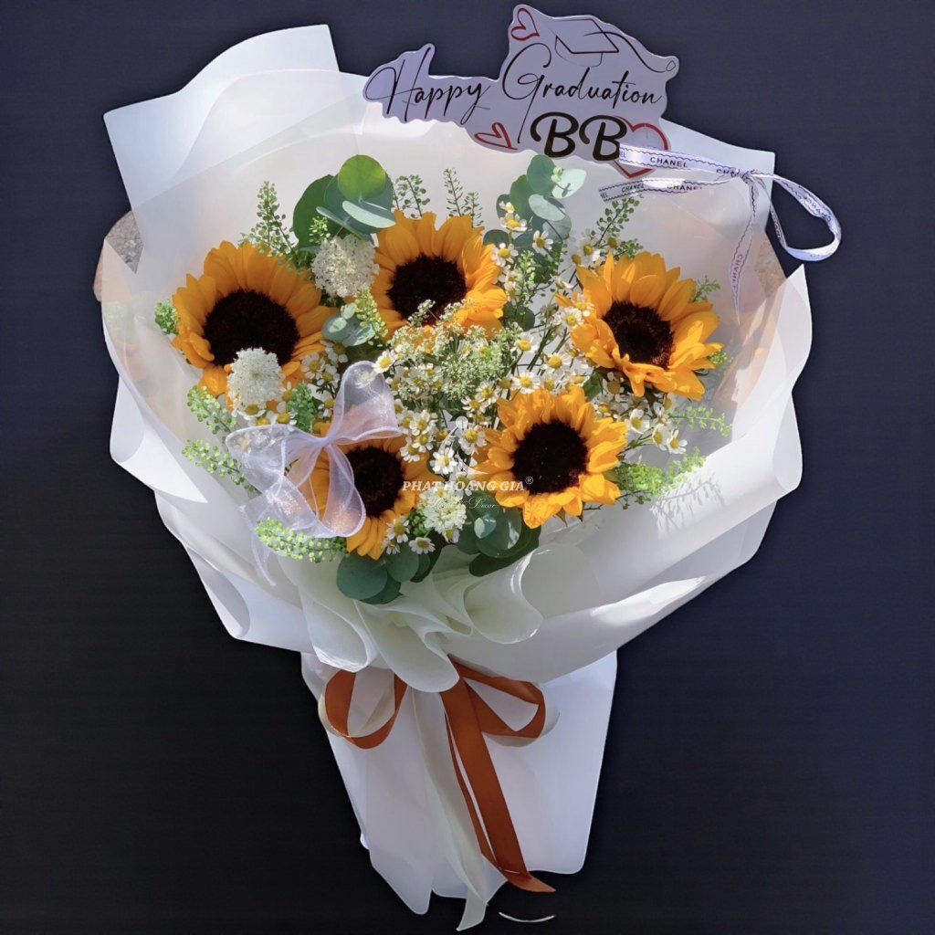 Hoa Cúc Tana - New Energy - 13331