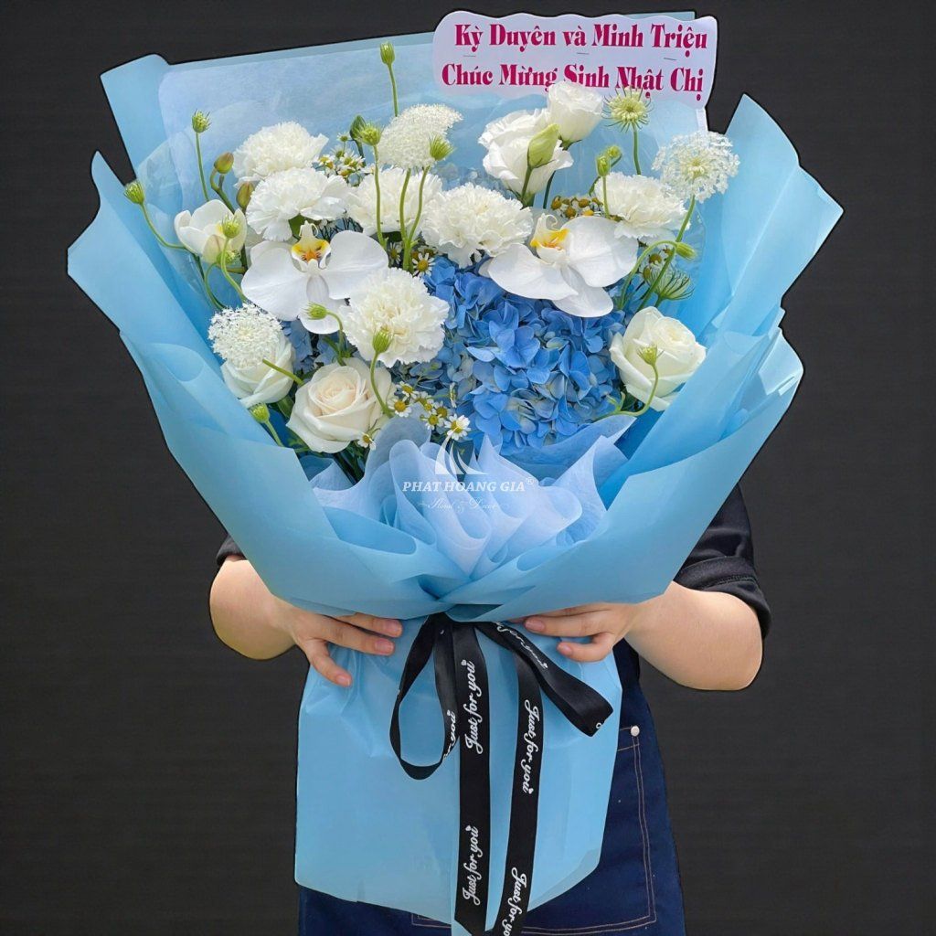 Hoa Cẩm Chướng - Tender Eyes - 13459