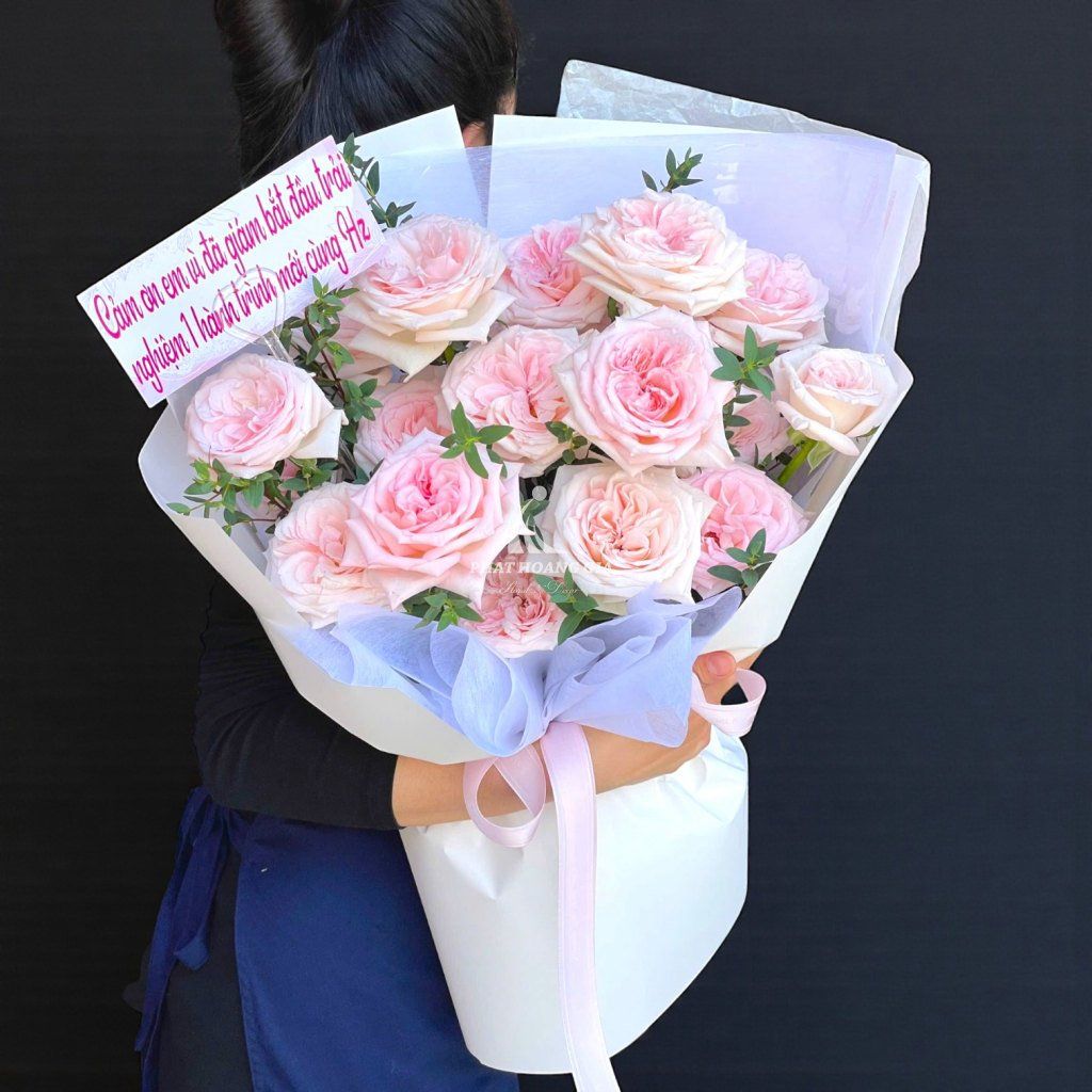 Hoa chúc sức khỏe - Bright Delight - 13793