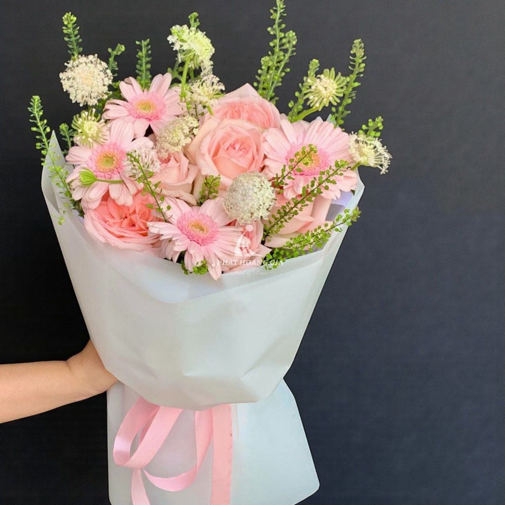 Hoa Đồng Tiền - Cánh Hồng Tươi - 13986