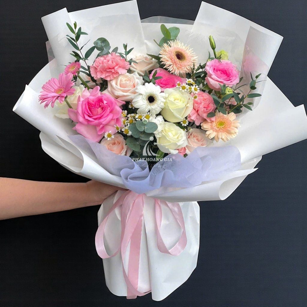 Hoa Đồng Tiền - Gắn Kết 2 - 14262