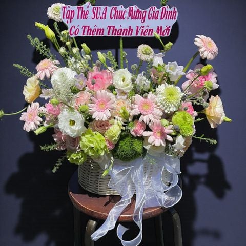  Phụ nữ Việt Nam (20/10) - Green Day - 14834 