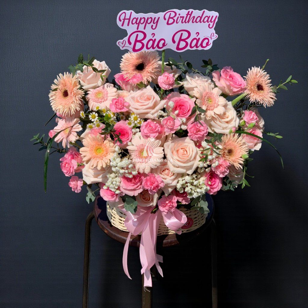 Hoa Cẩm Chướng - Pastel Yêu Thương - 14883
