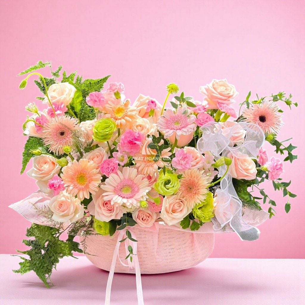 Hoa Đồng Tiền - Món Quà Ấn Tượng - 14907