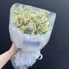 productNext