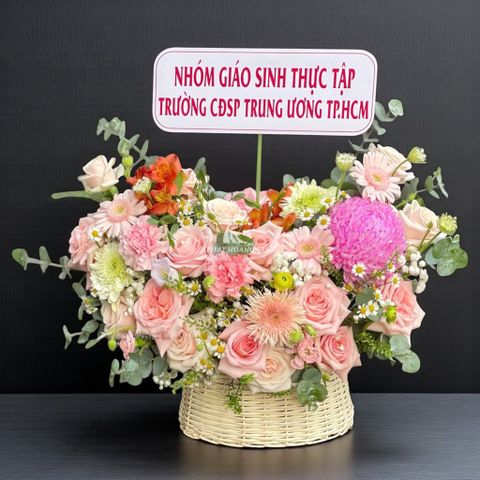  Hoa sinh nhật - Nắng Mai - 15463 