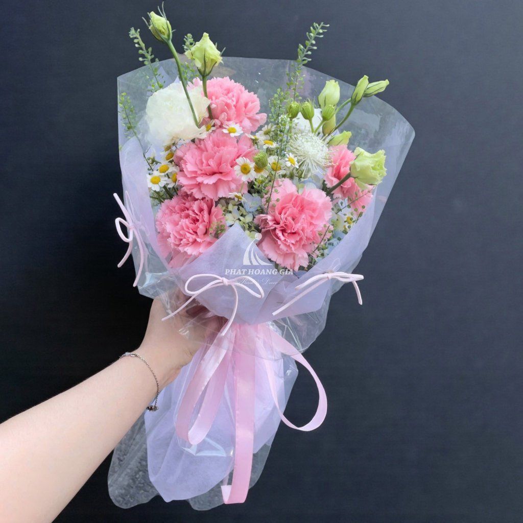Hoa Cẩm Chướng - Rosy Melody 1 - 15576