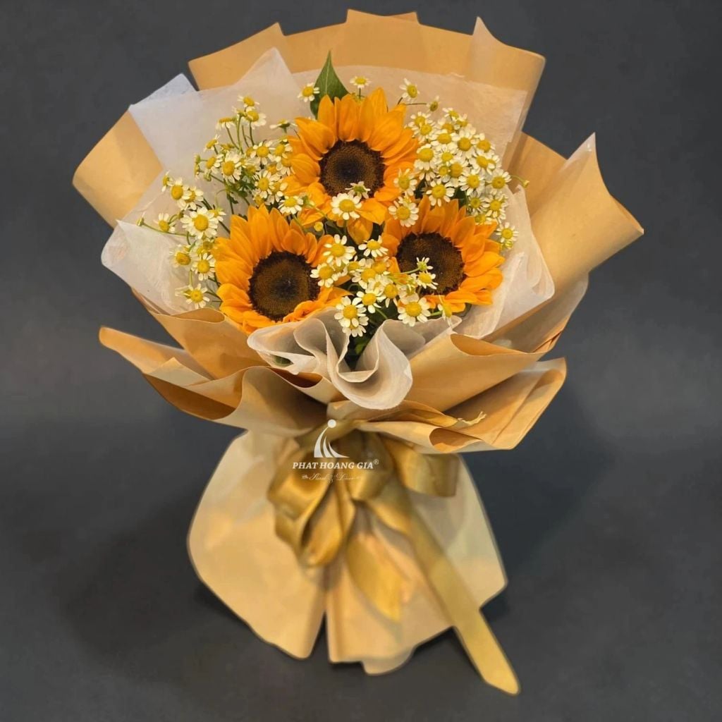 Nhà giáo Việt Nam (20/11) - Ánh Bình Minh 11 - 38896
