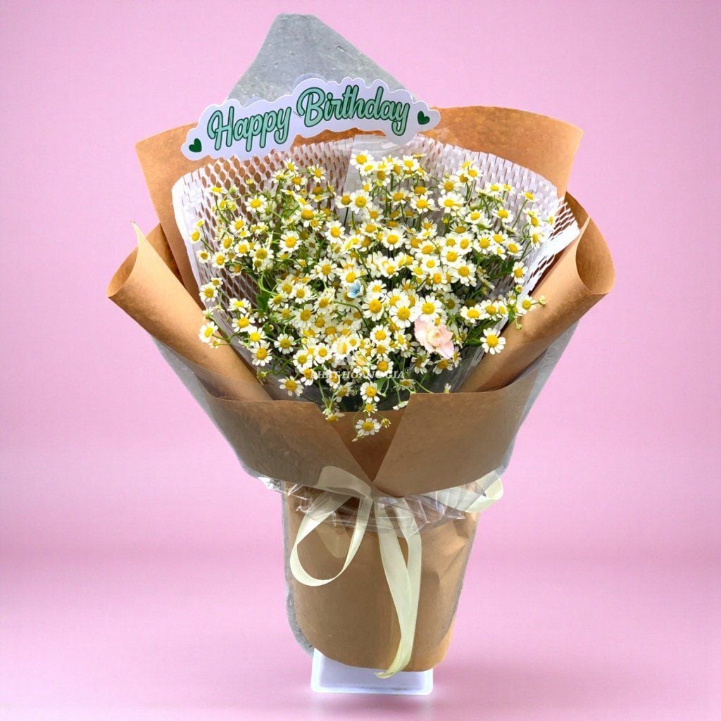 Hoa Cúc Tana - Duy Nhất - 16421