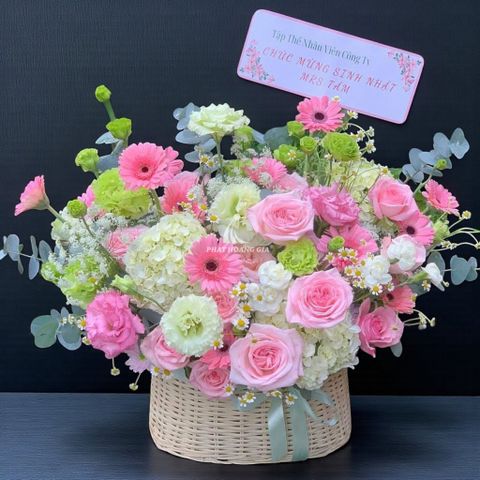  Hoa Cẩm Tú Cầu - Beautiful Day - 11197 
