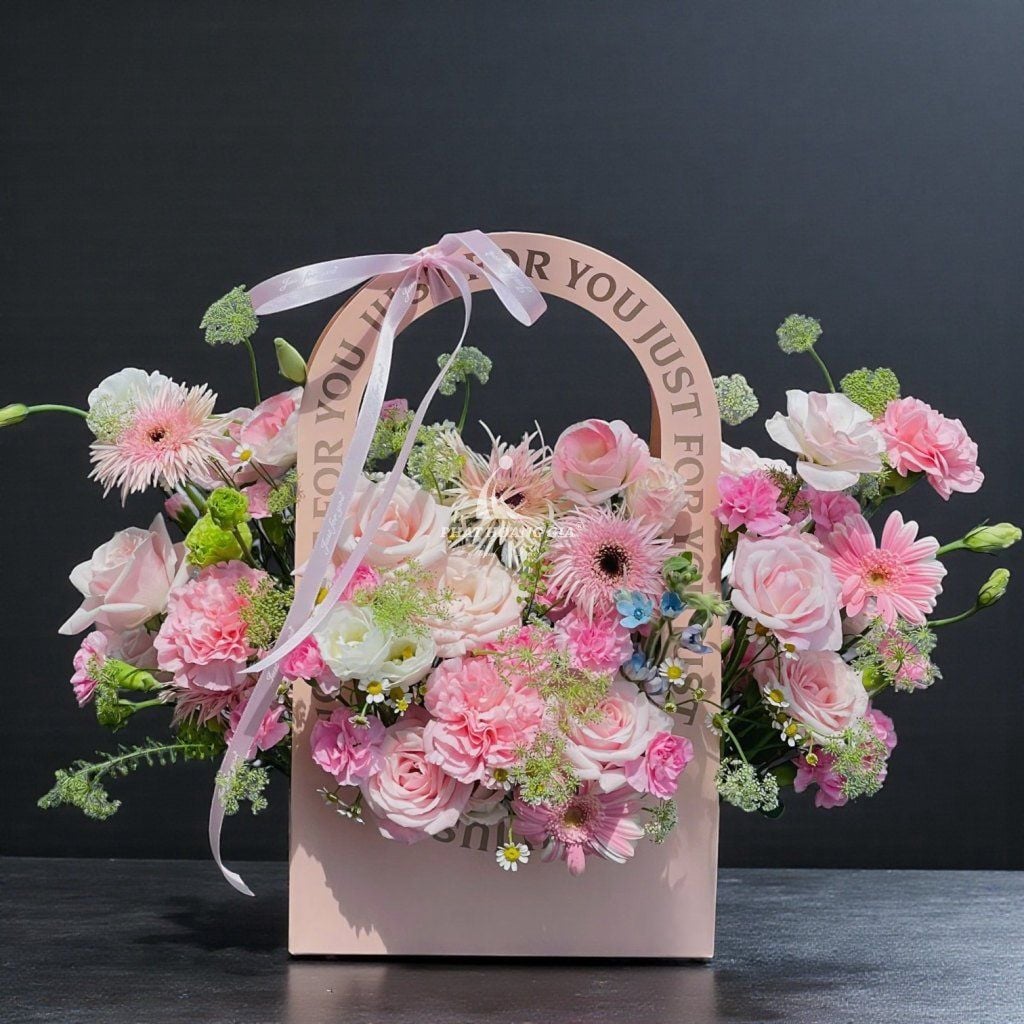 Hoa Đồng Tiền - Một Chút Ngọt Ngào - 11374