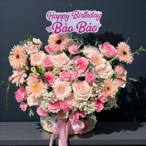  Hoa Baby - Nắng Hồng - 11462 